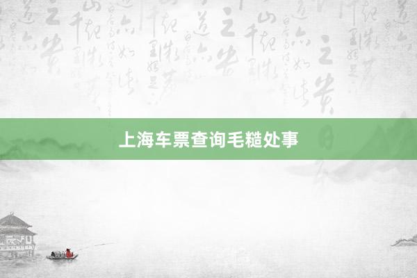 上海车票查询毛糙处事