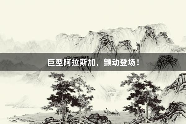 巨型阿拉斯加，颤动登场！