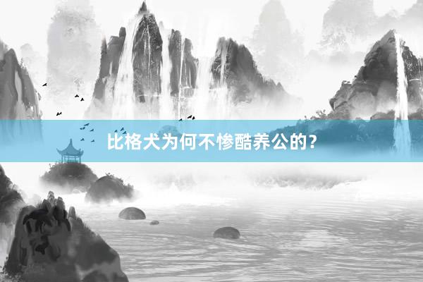 比格犬为何不惨酷养公的？